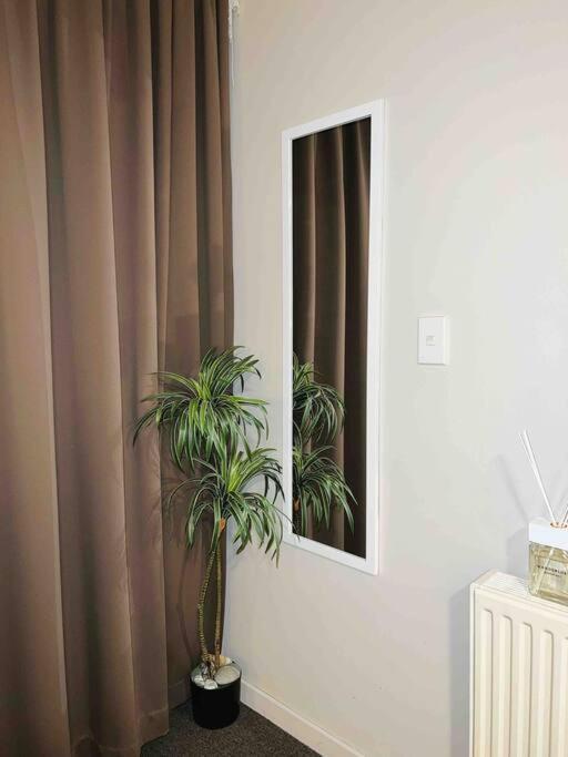 Cosy Motel Studio Apartment In Central City-Up To 2 Beds Christchurch Kültér fotó